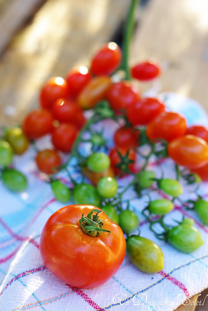 Mon été italien : le marché, le jardin et un manuscrit ;-)