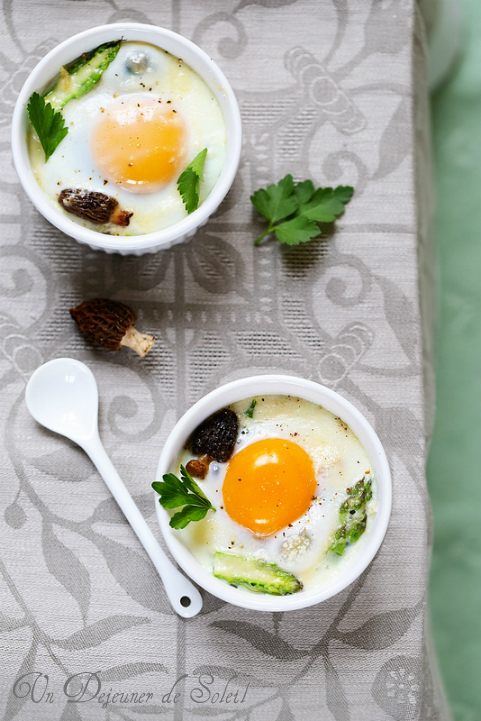 Oeuf poché à la crème de morilles facile : découvrez les recettes