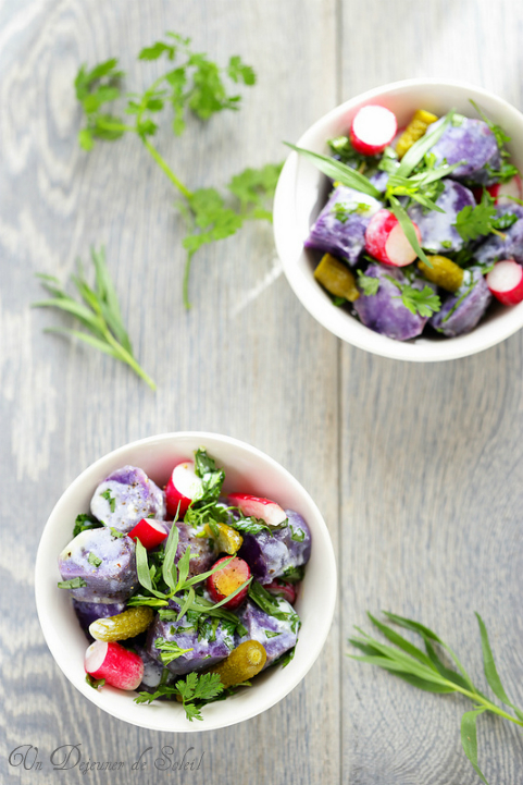 salade pommes de terre violette herbes lait fermente