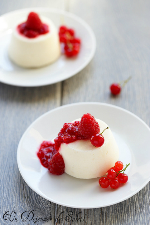 Glaces et sorbets maison sans sorbetière : toutes les astuces ! Semifreddo à la ricotta