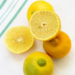 citron bergamote tout savoir conseils utilisation
