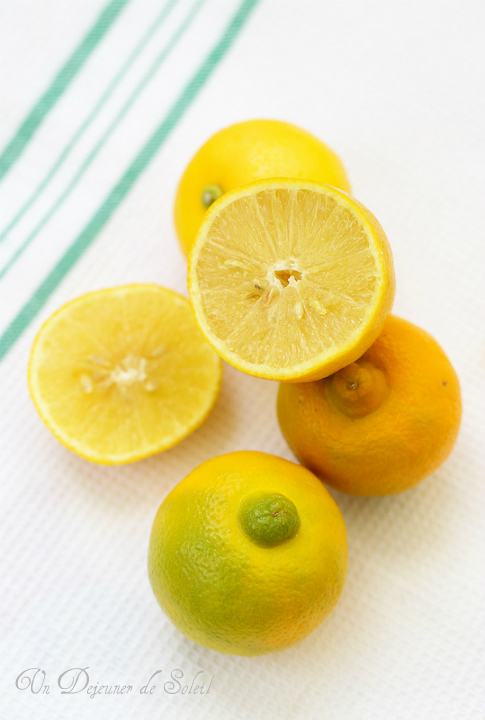 Citron bergamote : infos, comment l'utiliser, où l'acheter