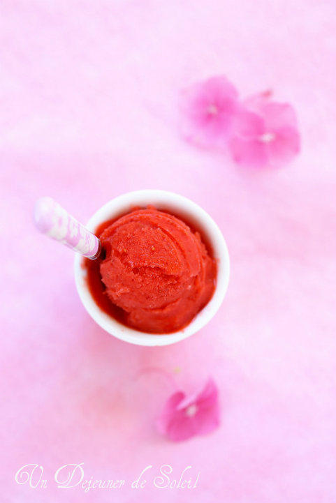 Sorbet pur à la fraise - Strawberry sorbet