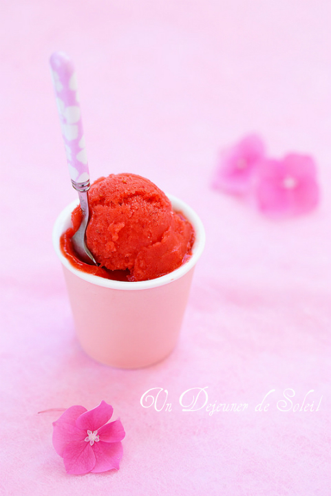 sorbet pure fraise