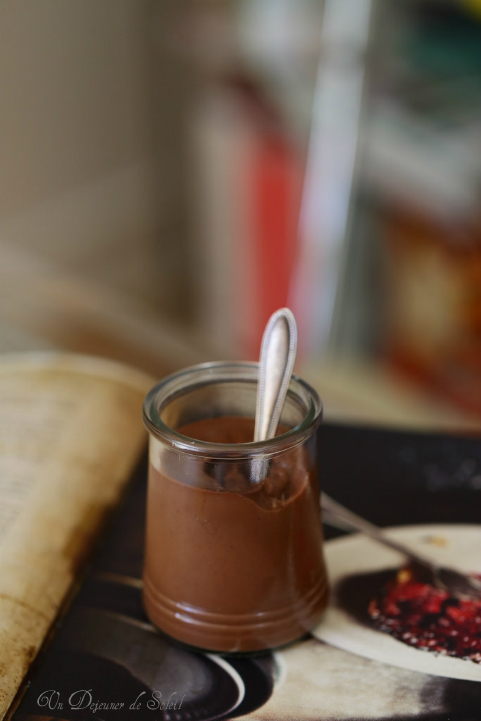 Crème légère au cacao (sans oeufs) façon danette