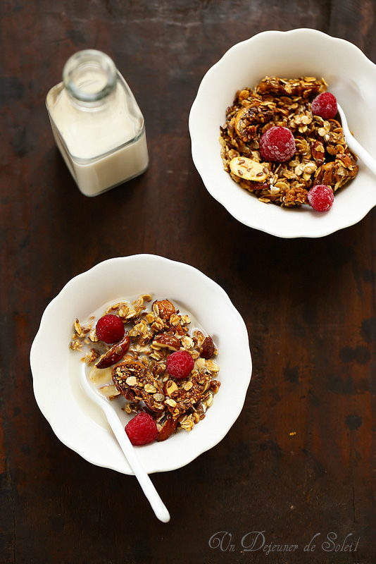 Granola maison aux amandes et aux figues