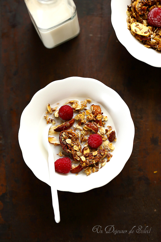 Granola maison aux amandes et aux figues