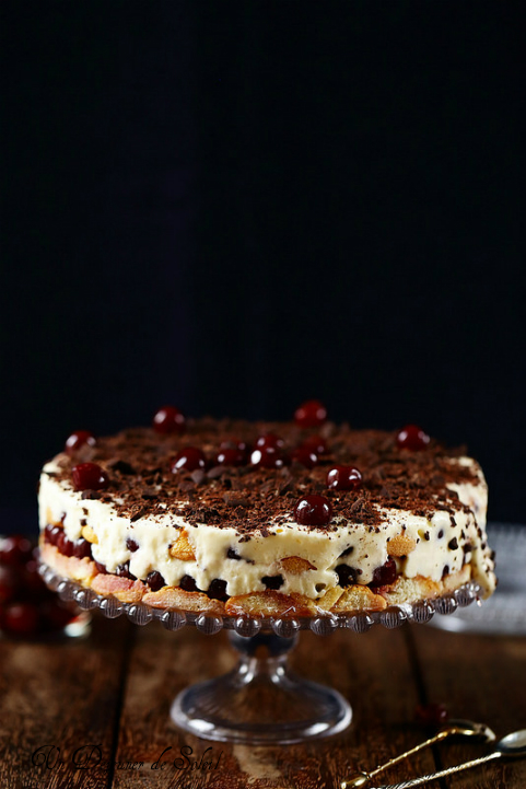 Bûches et entremets de fête et trois recettes de glaçages (tiramisù Forêt-noire)