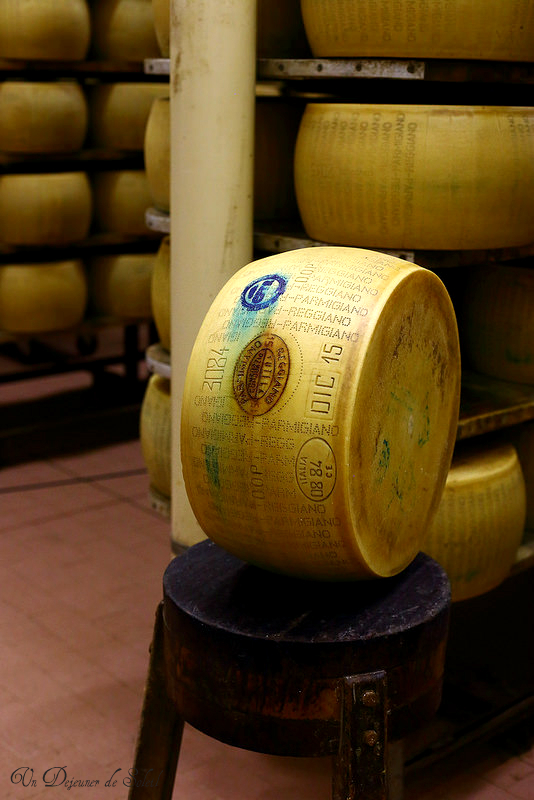 Comment est fabriqué le Parmigiano Reggiano ? Reportage