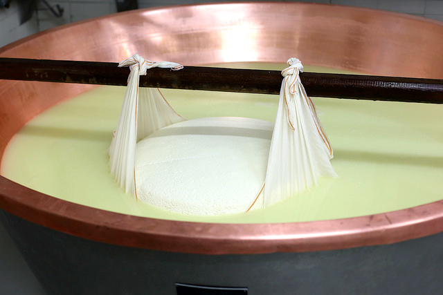 Fabrication du parmesan. Égouttage