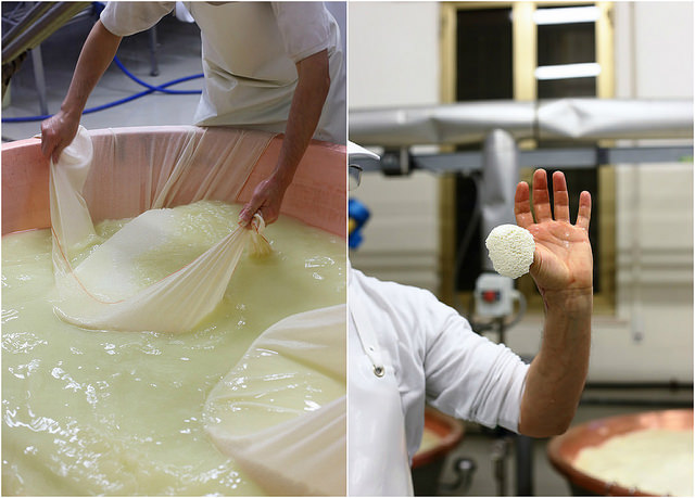 Comment est fabriqué le Parmigiano Reggiano ? Souvenirs d'un beau