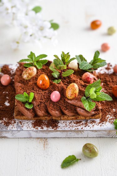 Tarte mousse chocolat facile potager trompe oeil