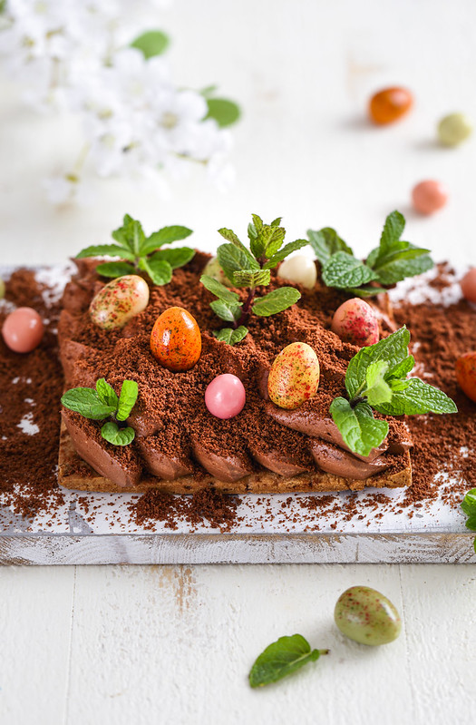 Tarte mousse chocolat facile potager trompe oeil