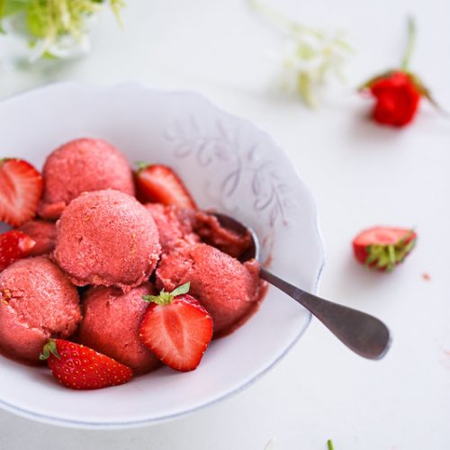 sorbet rhubarbe rotie recette facile