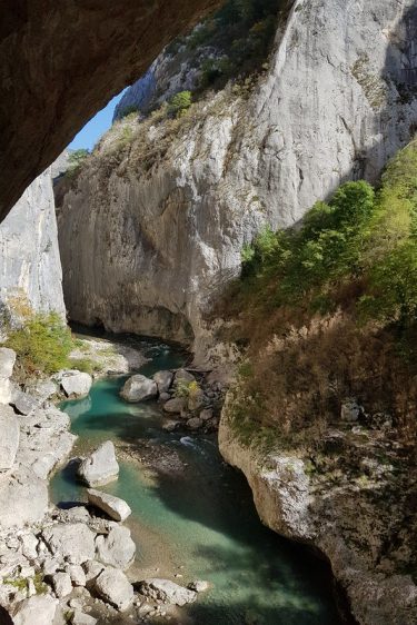 bonne annee 2023 voeux un dejeuner de soleil