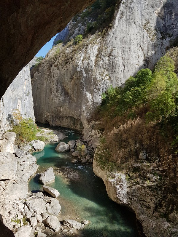 bonne annee 2023 voeux un dejeuner de soleil