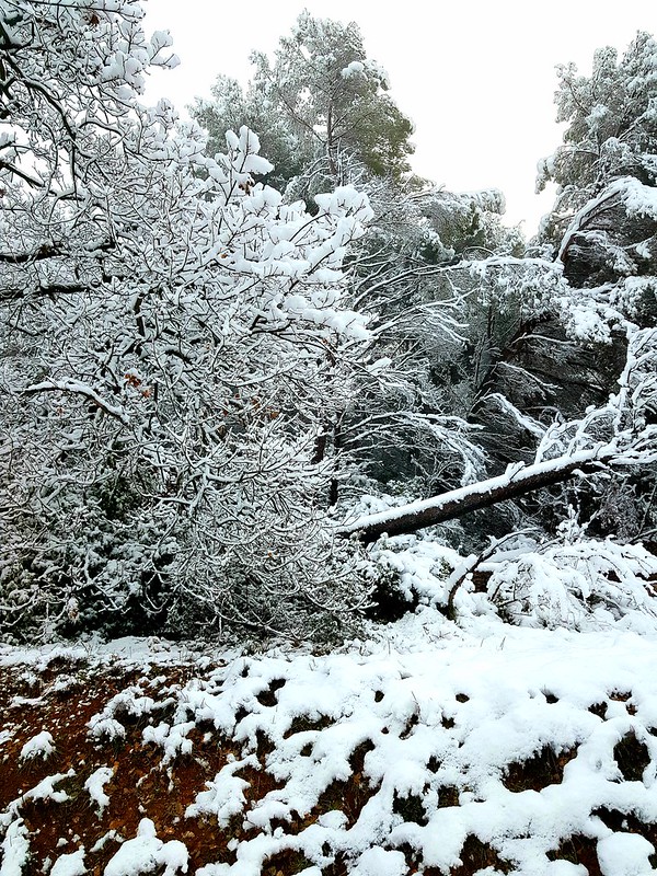 neige provence 27 fevrier 2023