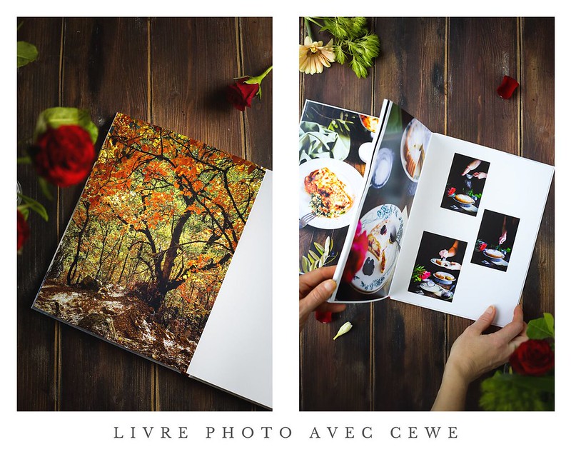 livre photo cewe interieur avis