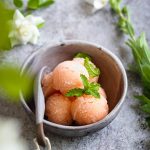 sorbet pamplemousse recette