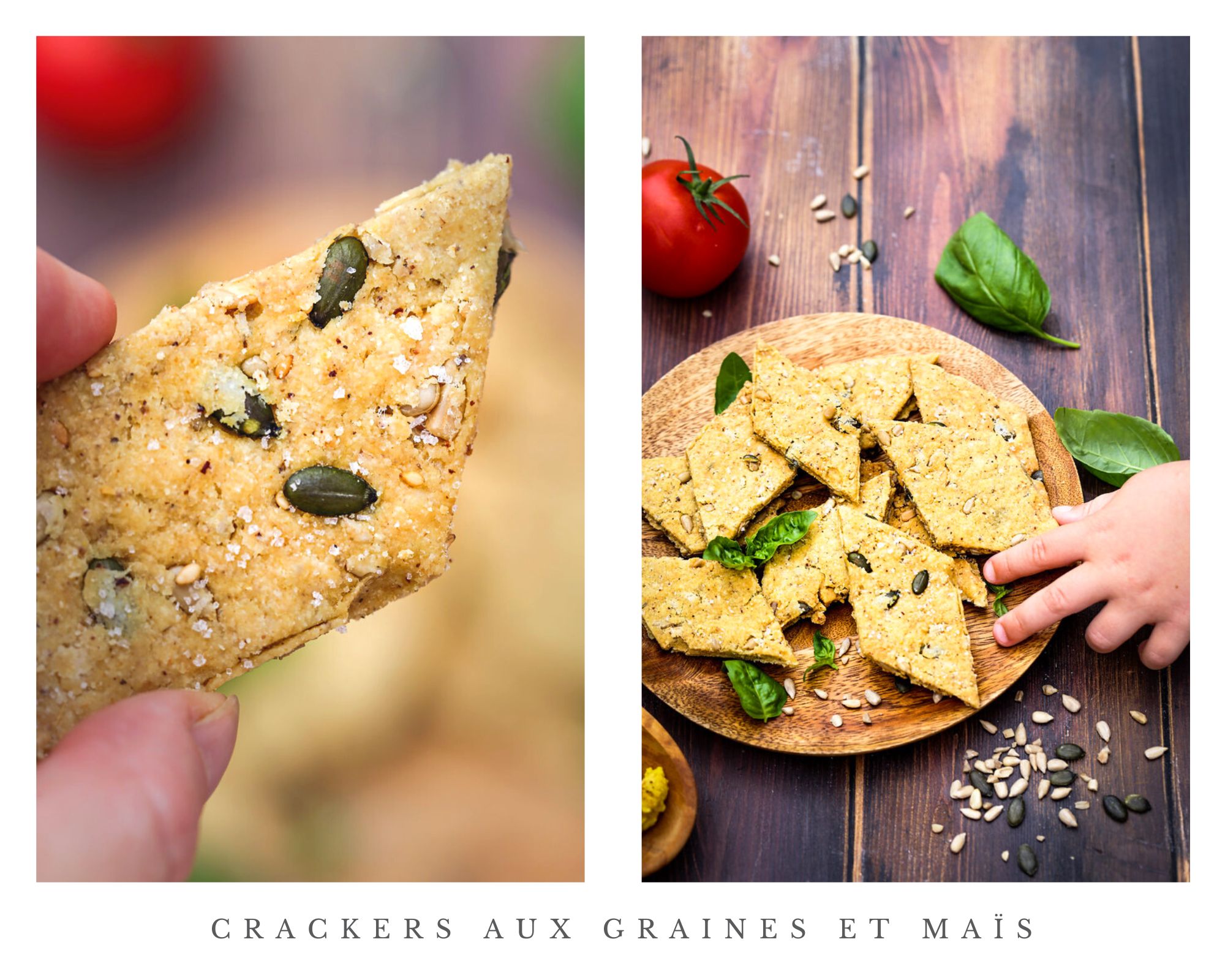 Sitemapcdatahttpsshopinf Inetcomcrackers Aux Graines Thermomix