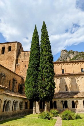 Belle année 2026 !!!